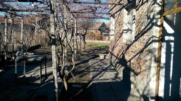 Перничанка иска да осинови питбула, убил дете