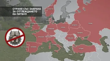 За разлика от България, в Европа има ограничения за отглежданите породи кучета