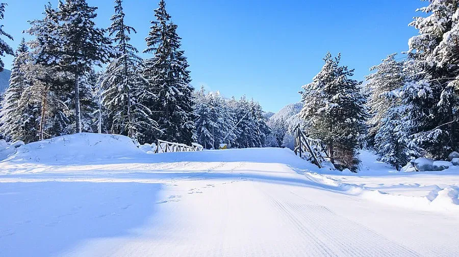 НАП в зимните курорти, предстоят над 5000 проверки
