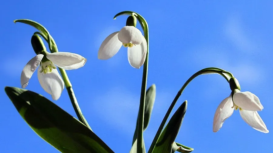 Топла сряда