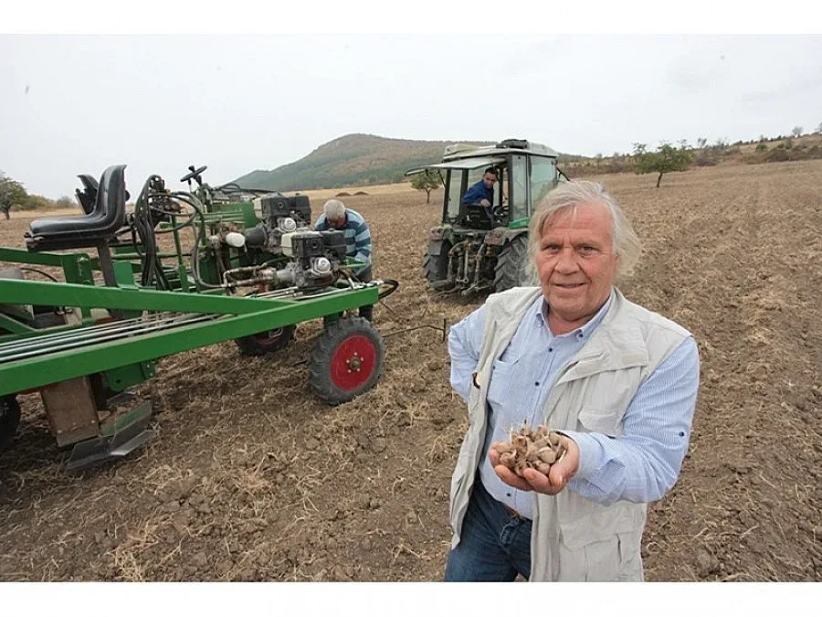 Пасти с български шафран за еврочиновниците