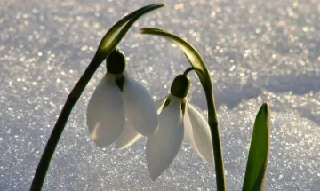 До 8 градуса в Южна България