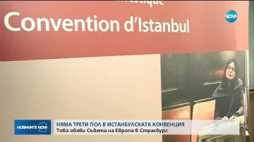 Що е то "Истанбулска конвенция" - ПЪЛНИЯТ ТЕКСТ ТУК