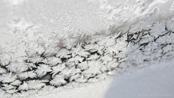 През следващите дни - без валежи, но студено