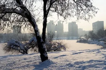 Студено слънце