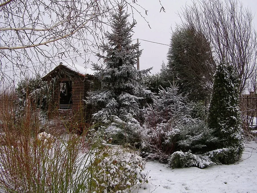Без промяна - облачно и влажно
