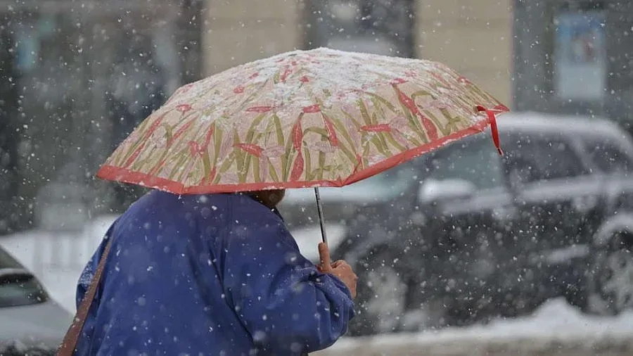 Застудяване