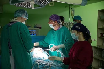 Празничните трапези възпалиха жлъчките