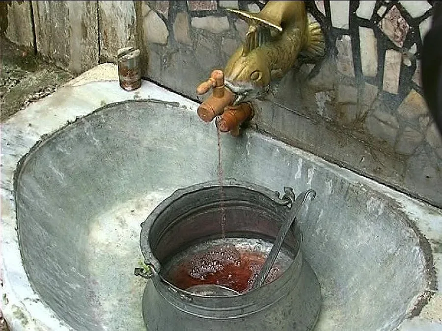 Вино тече от чешмите в Делчево за Трифон Зарезан