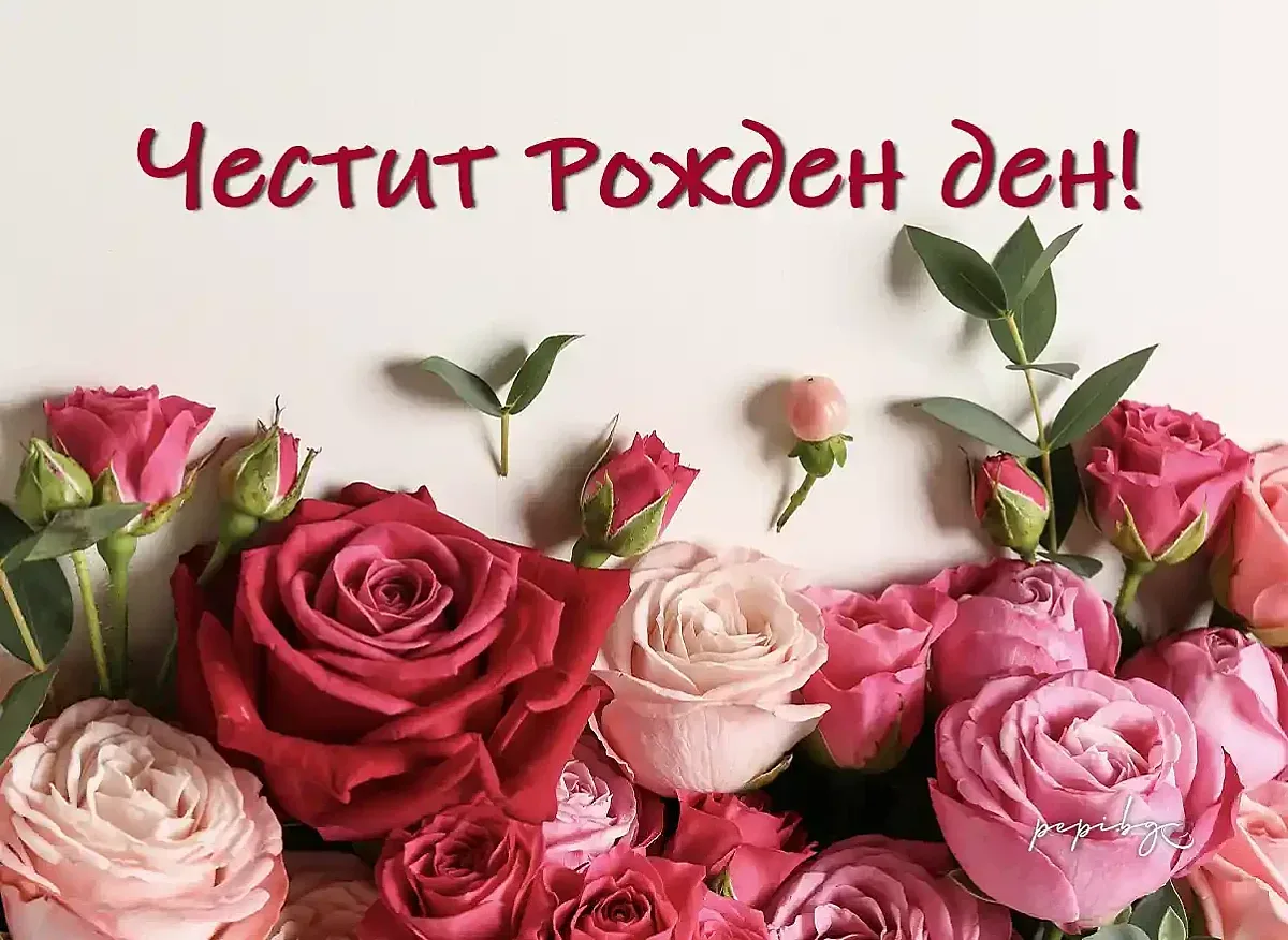 Честит рожден ден на нашата Николета