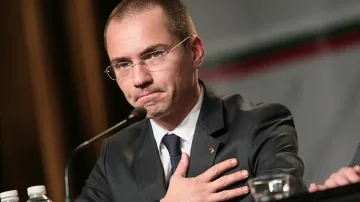 Джамбазки: Къде са "зелените", когато цигани сечат горите и нападат с мачете?