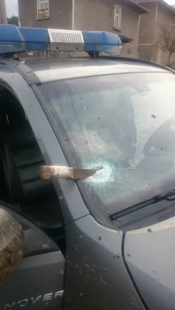 Банда роми нападнаха горски служители