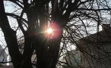 2018-а започва с топло време