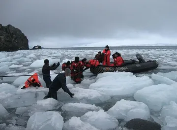 Коледари, боб и ошав на Антарктида
