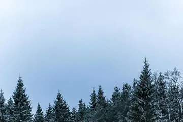 Предупреждават за силен вятър в 10 области