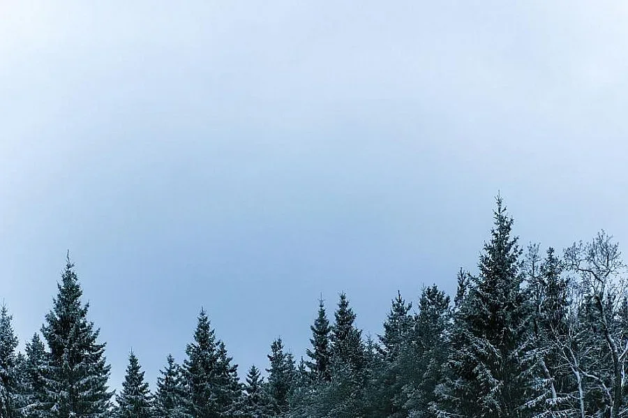 Предупреждават за силен вятър в 10 области