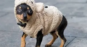 Времето омеква