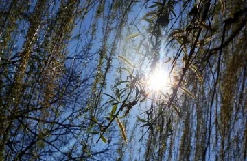 Слънчев и приятен 8 декември