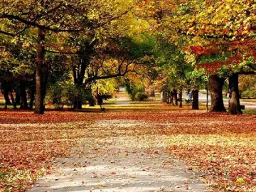 Слънчево, затопля се