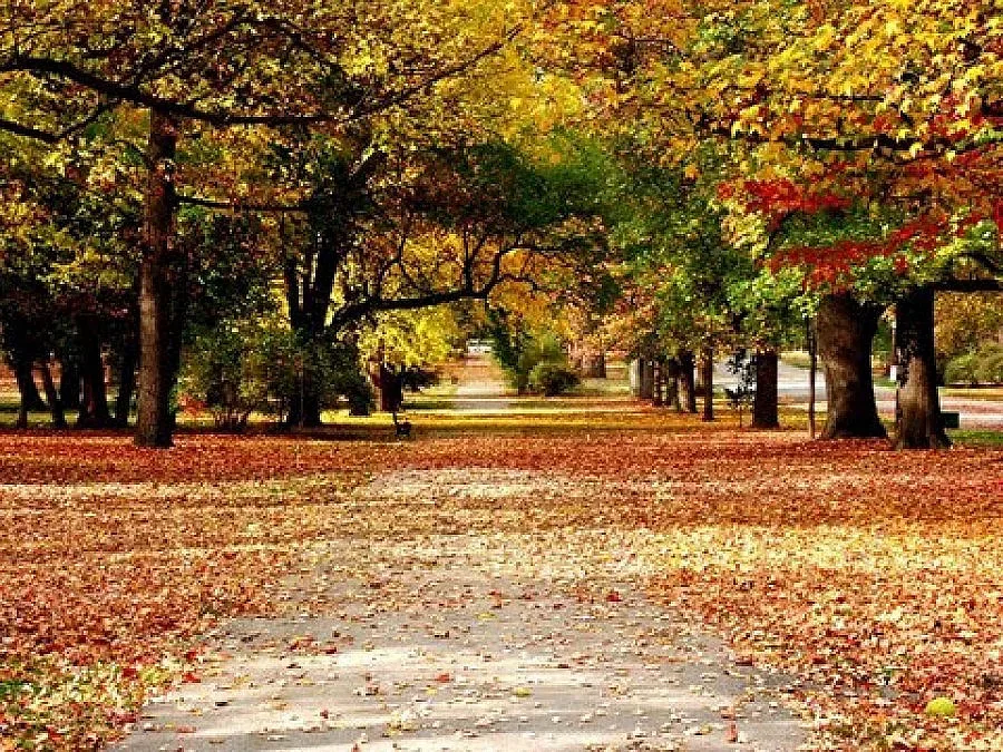 Слънчево, затопля се