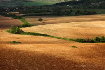 Разкриха олигопол над нивите в България