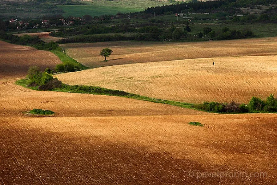 Разкриха олигопол над нивите в България