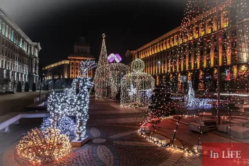 Елхата в София грейва с 30 000 лампички