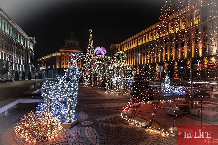 Елхата в София грейва с 30 000 лампички