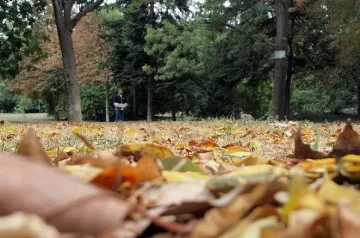 Застудяване