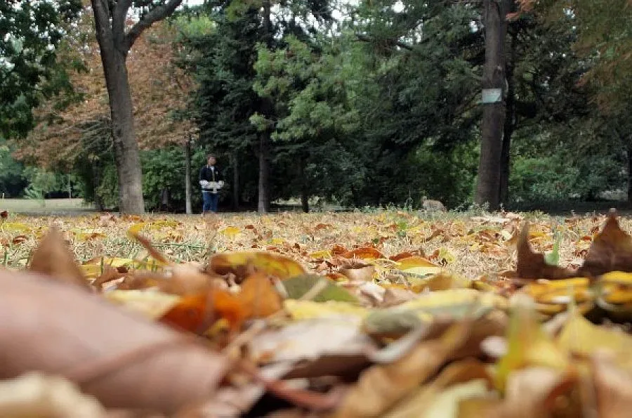 Застудяване