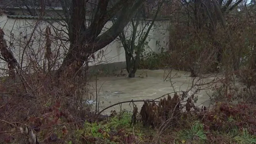 Заради валежите: Обявиха бедствено положение в кюстендилско село