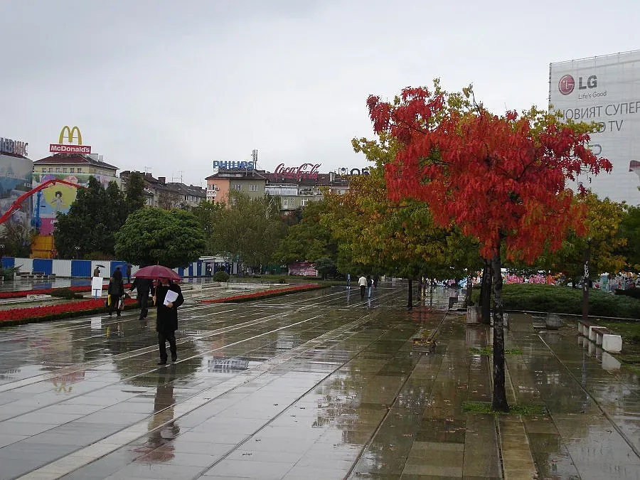 Цял ден дъжд