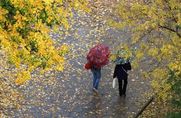 Облаци и дъжд