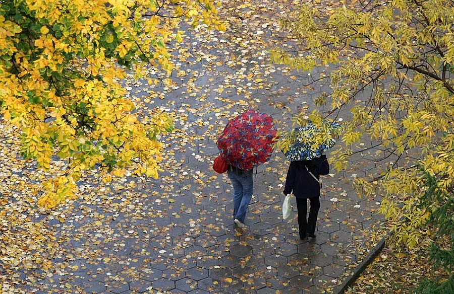 Облаци и дъжд