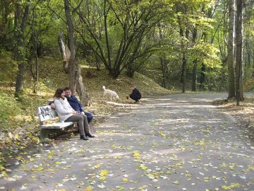 Жълт код за силен вятър в 26 области днес 