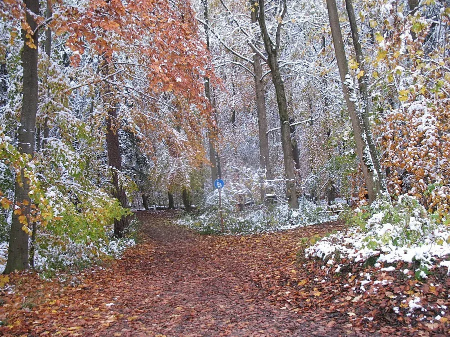 Оранжев и жълт код за дъжд и сняг