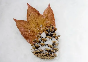 Студ и сняг от понеделник