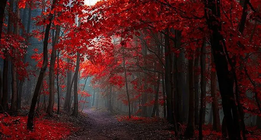 Слънце на юг, мъгливо на север