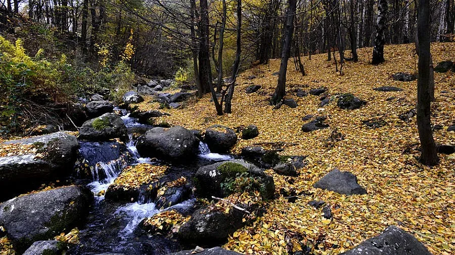 Студено и влажно