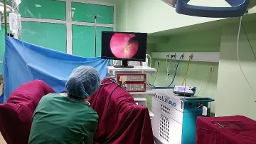 Над 700 избраха лечение с лазер в „Медлайн"