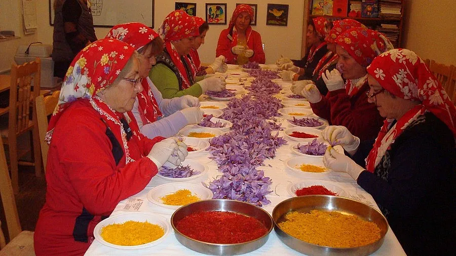 Шафран измества тютюна в Кърджали