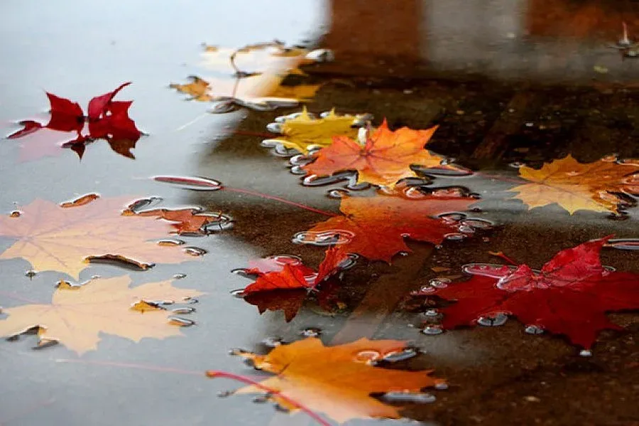 Дъждовна събота