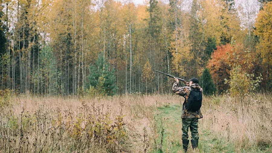 Вдигат таксите за лов