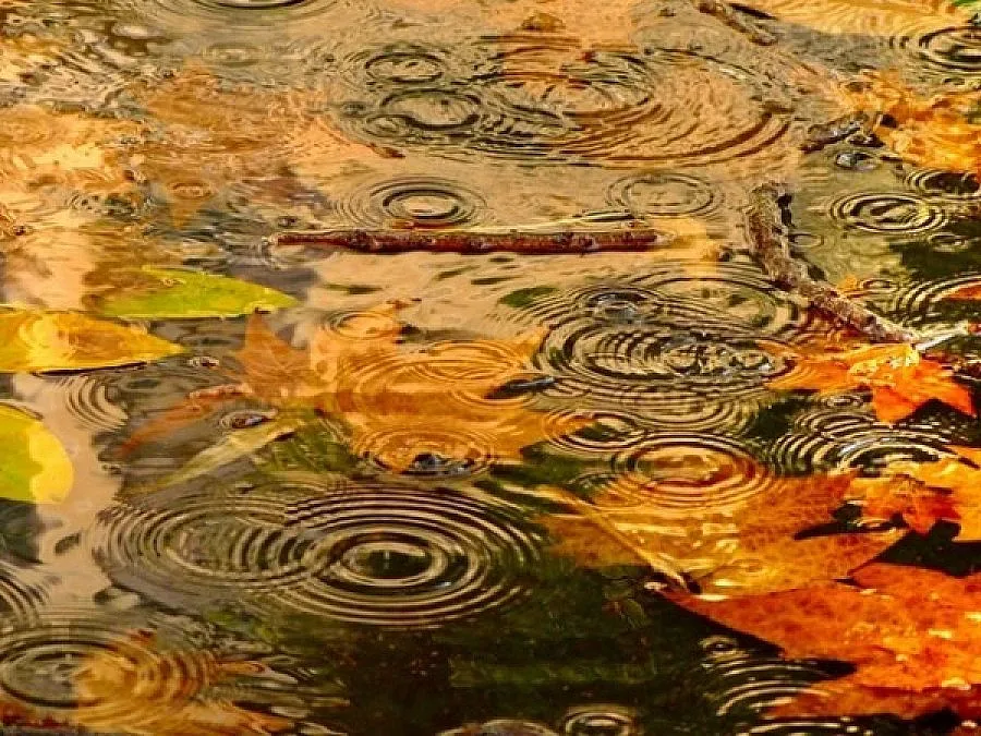 Облачно с превалявания