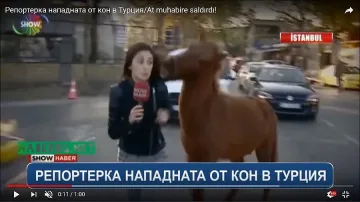 Кон нападна репортерка в Турция (ВИДЕО)