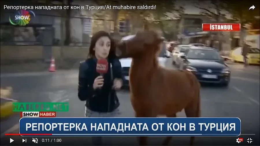 Кон нападна репортерка в Турция (ВИДЕО)