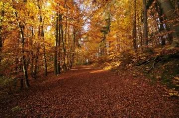 Живакът скача до 20 градуса утре