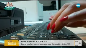 Нова измама в мрежата - тест за интелигентност за 6 лева 