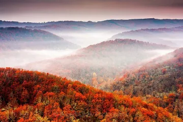 Внимание! Мъгли в низините
