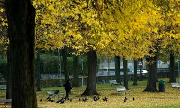 Слънце измества облаците